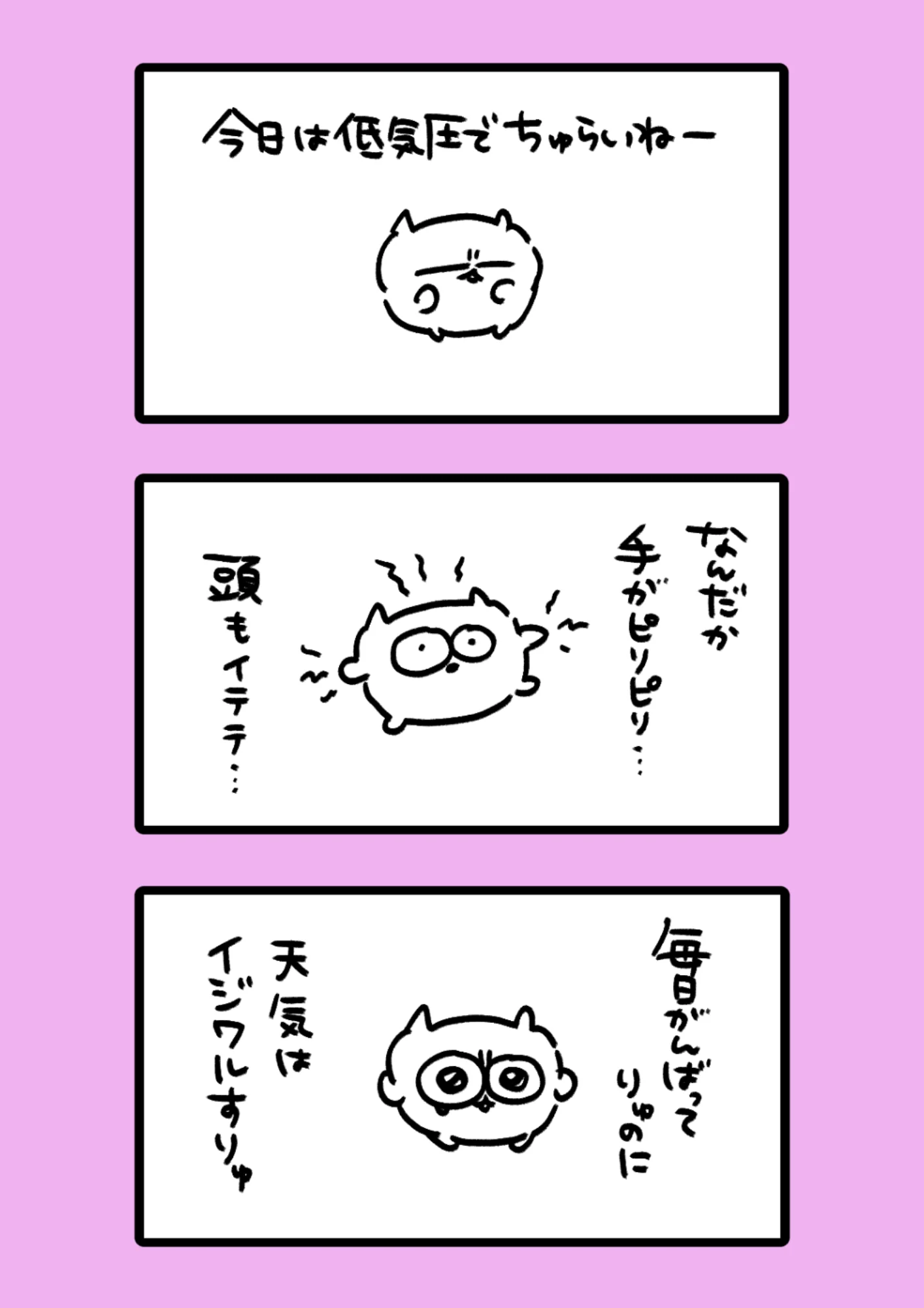 キノコ生える 1