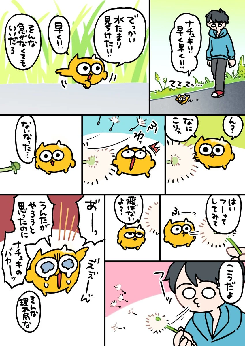綿毛とうんたねこ 1